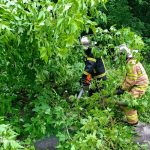 Наслідки негоди на Вінниччині: рятувальники допомагали водіям і мешканцям
