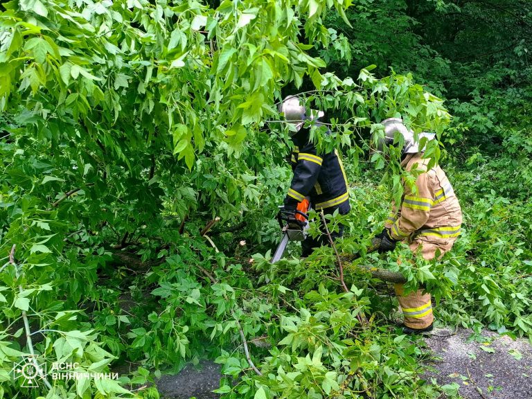 Наслідки негоди на Вінниччині: рятувальники допомагали водіям і мешканцям