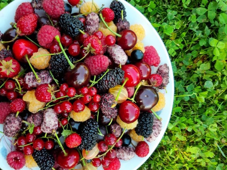 Що їсти у червні: 10 сезонних продуктів, які варто додати до раціону