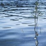На Вінниччині у річці Згар виявили тіло чоловіка