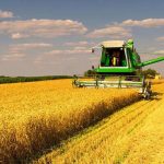 На Вінниччині стартували жнива-2026: аграрії збирають перший урожай