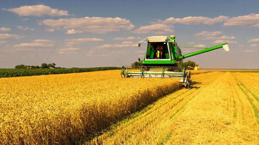 На Вінниччині стартували жнива-2026: аграрії збирають перший урожай