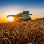 Вінницькі фермери можуть отримати до 1 млн грн під 6%: стартував прийом заявок