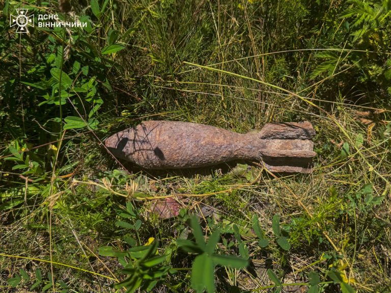 Поблизу домоволодіння на Вінниччині виявили небезпечний боєприпас