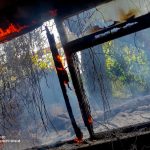 На Вінниччині горіли поля, підприємство та будівля: подробиці від ДСНС
