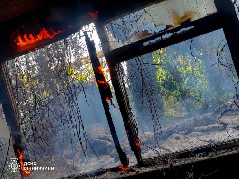 На Вінниччині горіли поля, підприємство та будівля: подробиці від ДСНС