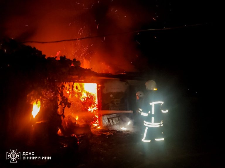 На Вінниччині за добу сталося чотири пожежі: горіли будинок, господарська споруда та сухостій