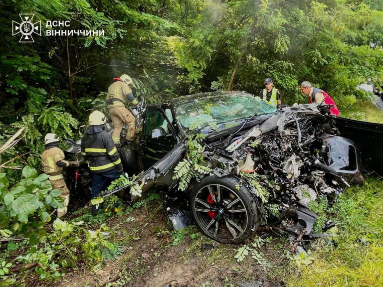 Смертельна аварія на Хмільниччині: поліція розслідує чотири ДТП за добу
