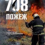 Вогонь охопив понад 270 гектарів: на Вінниччині зростає кількість пожеж