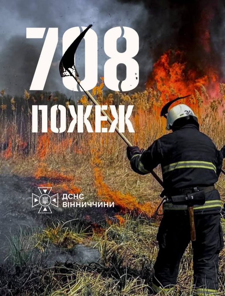 Вогонь охопив понад 270 гектарів: на Вінниччині зростає кількість пожеж