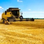 Жнива на Вінниччині: аграрії вже зібрали понад пів мільйона тонн зерна