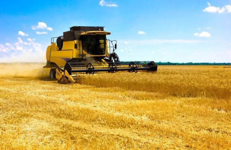 Жнива на Вінниччині: аграрії вже зібрали понад пів мільйона тонн зерна