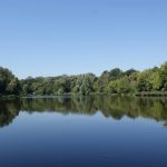 Чи безпечно купатися у Вишенському озері: оприлюднили результати досліджень води