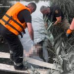 На Вінниччині у ставку потонув 69-річний чоловік
