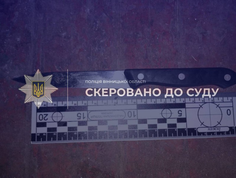 На Вінниччині судитимуть жінку, яку обвинувачують у замаху на вбивство 17-річної доньки