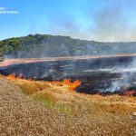 На Вінниччині через людську недбалість згоріло 1,7 гектара пшениці