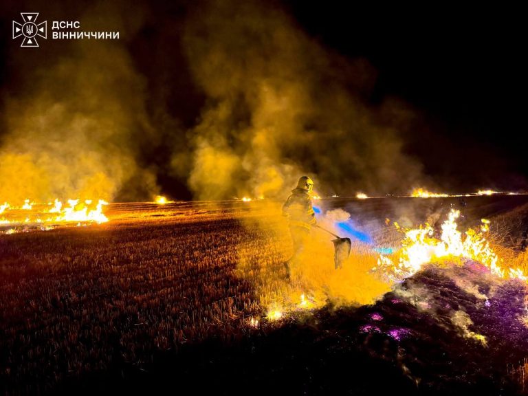 Людська недбалість спричинила 16 пожеж на Вінниччині за один день