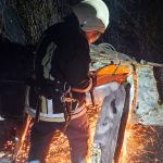 На Вінниччині легковик врізався в дерево і загорівся: загинув 15-річний хлопець