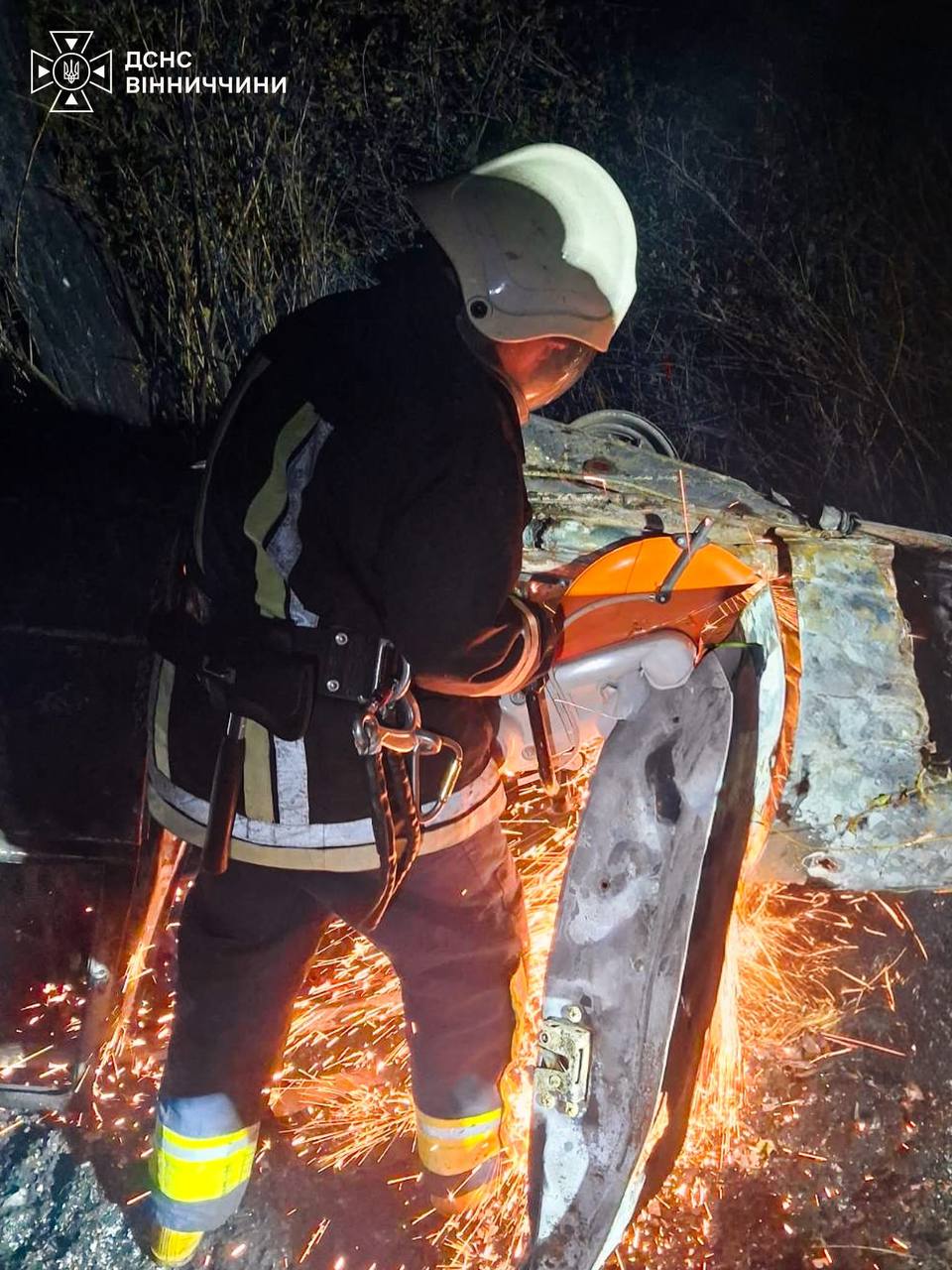 На Вінниччині легковик врізався в дерево і загорівся: загинув 15-річний хлопець