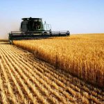 Жнива на Вінниччині: аграрії вже зібрали 1,4 мільйона тонн зерна