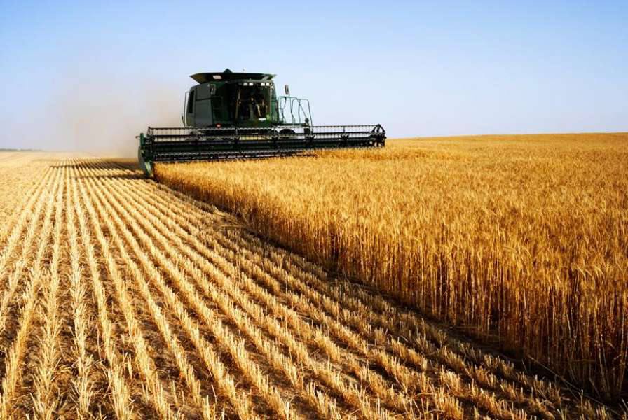 Жнива на Вінниччині: аграрії вже зібрали 1,4 мільйона тонн зерна