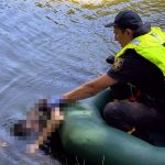 У Вінниці в ставку потонула 55-річна жінка: це вже 24 загибель на воді від початку літа