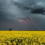 На Вінниччині очікують грозу та шквали вітру до 20 м/с: оголошено жовтий рівень