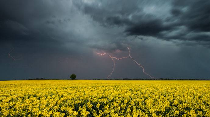 На Вінниччині очікують грозу та шквали вітру до 20 м/с: оголошено жовтий рівень