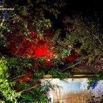 На Вінниччині за добу ліквідували 4 пожежі у житловому секторі: постраждав 74-річний чоловік