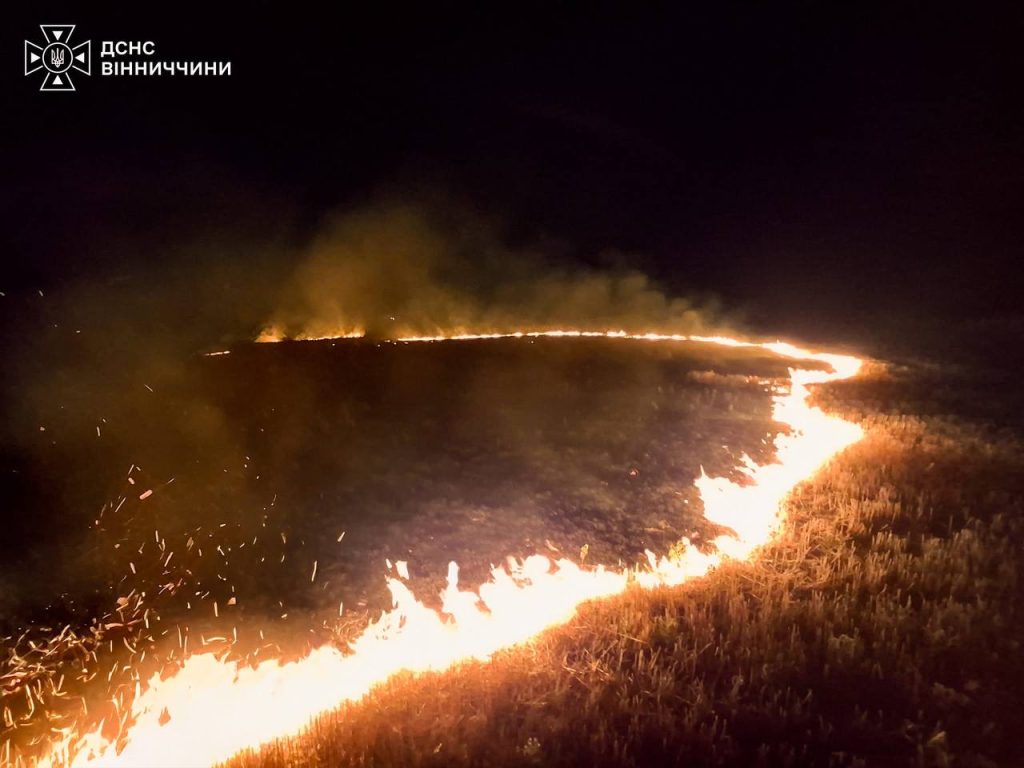 Вогонь охопив понад 17 гектарів: на Вінниччині за добу сталося 25 пожеж