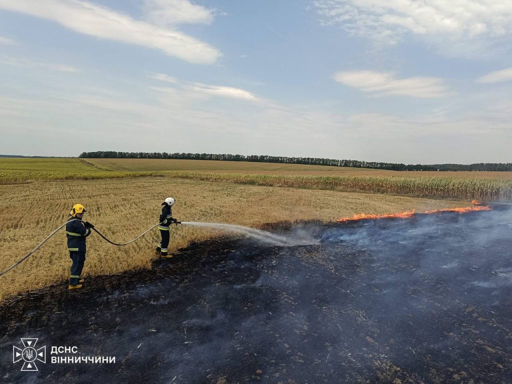 На Вінниччині за добу вигоріло понад 6 гектарів: рятувальники ліквідували 15 пожеж