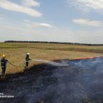 На Вінниччині за добу вигоріло понад 6 гектарів: рятувальники ліквідували 15 пожеж