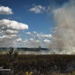 На Вінниччині за добу сталося 10 пожеж: вогонь охопив близько 5 гектарів