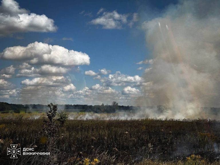 На Вінниччині за добу сталося 10 пожеж: вогонь охопив близько 5 гектарів
