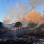 На Вінниччині за добу горіло понад 5 гектарів сухої рослинності