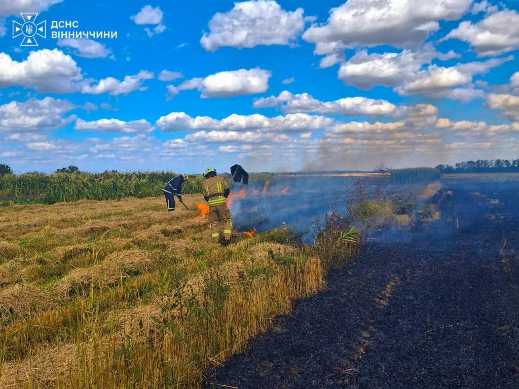 На Вінниччині за добу вигоріло понад 5 гектарів сухої рослинності