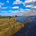 На Вінниччині за добу вигоріло понад 5 гектарів сухої рослинності
