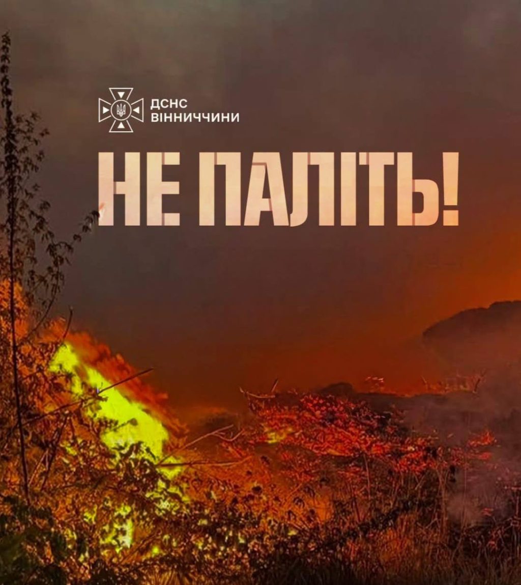 Понад 460 гектарів землі у вогні: на Вінниччині від початку року ліквідували 1056 пожеж