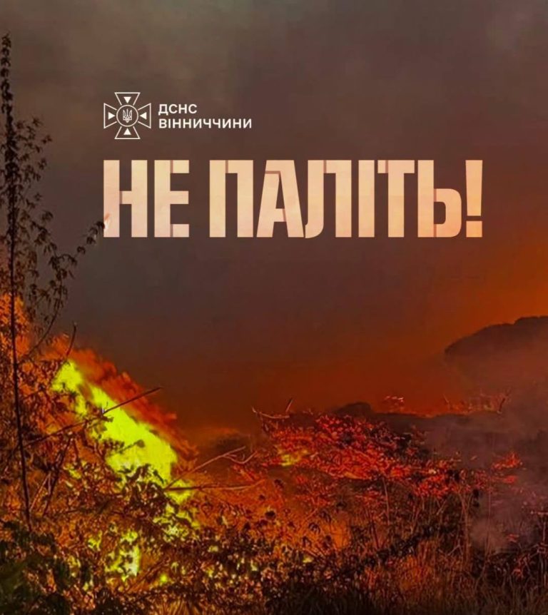 Понад 460 гектарів землі у вогні: на Вінниччині від початку року ліквідували 1056 пожеж
