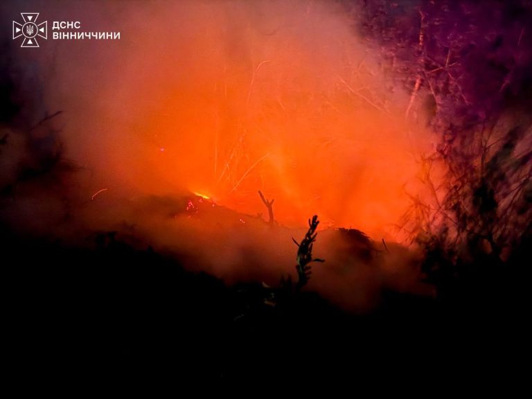 Понад 2 гектари землі у вогні: на Вінниччині за добу ліквідували 7 пожеж