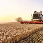 Аграрії Вінниччини вже намолотили понад 2,4 млн тонн зерна