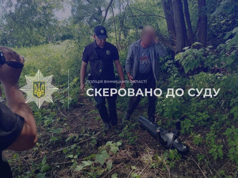 Конфлікт через дерева закінчився смертю: на Вінниччині судитимуть 71-річного чоловіка