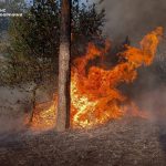 Через несправний газовий балон загорівся будинок: на Вінниччині ліквідували 6 пожеж