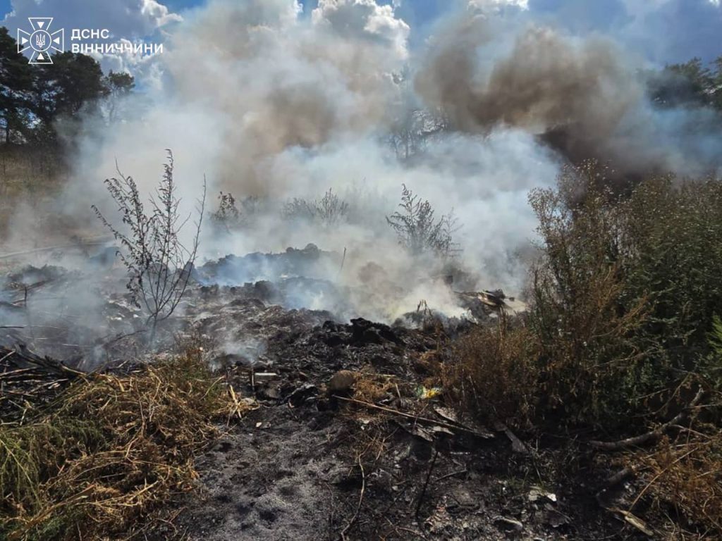 Пожежі у чотирьох районах: на Вінниччині за добу рятувальники 9 разів виїжджали на займання
