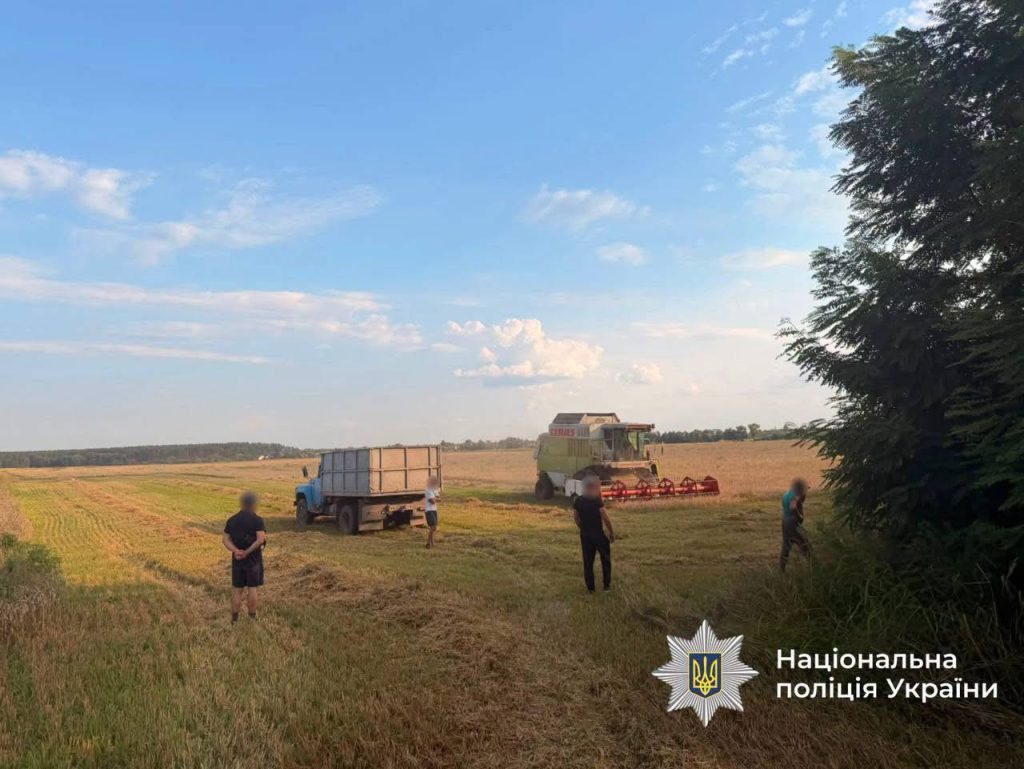 На Вінниччині судитимуть депутата, який незаконно обробляв майже 100 гектарів землі