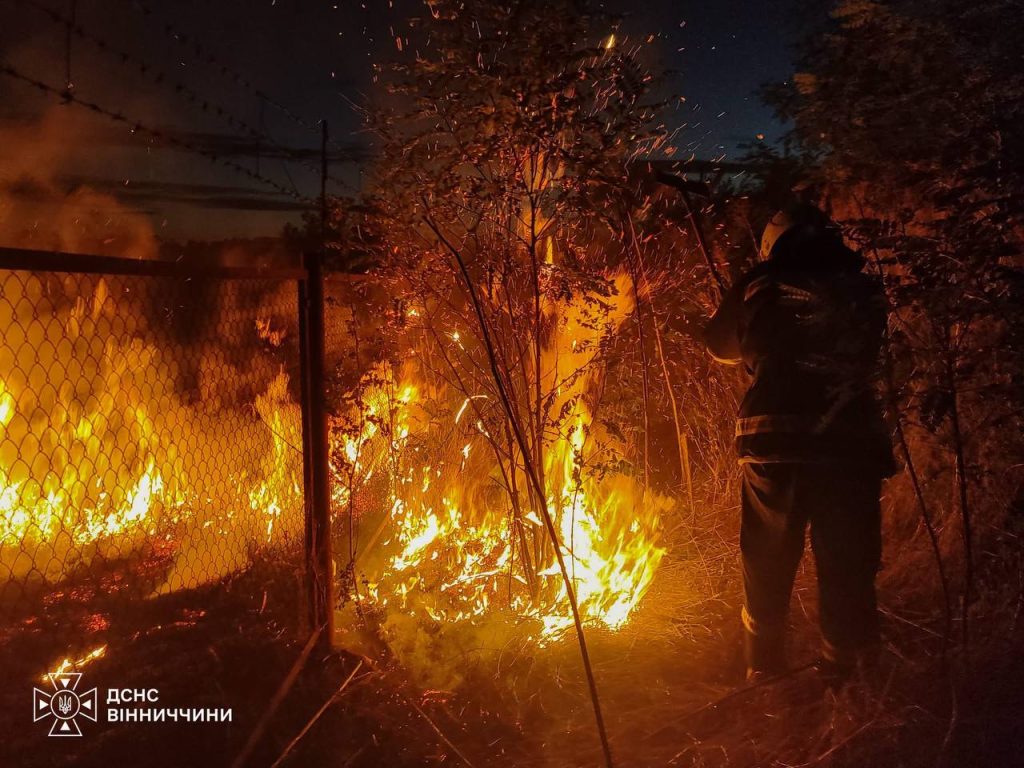 Понад 6 гектарів у вогні: на Вінниччині за добу сталося 11 пожеж