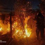 Понад 6 гектарів у вогні: на Вінниччині за добу сталося 11 пожеж