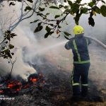 17 пожеж за добу: на Вінниччині вогонь знищив понад 7 гектарів землі
