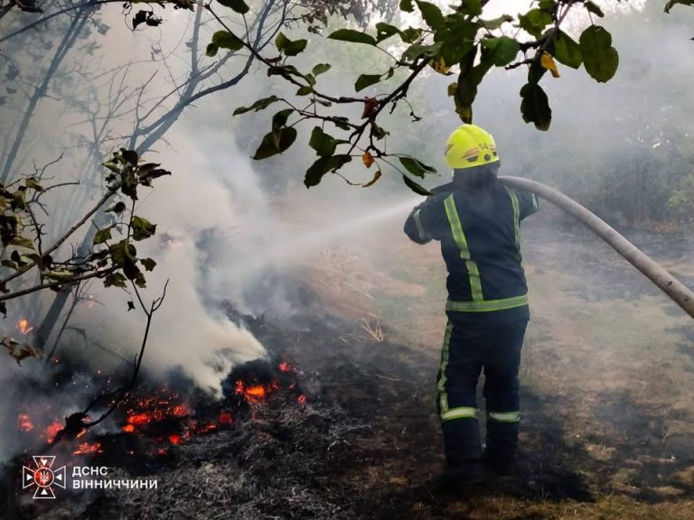 17 пожеж за добу: на Вінниччині вогонь знищив понад 7 гектарів землі