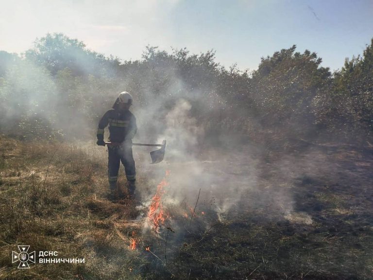 Понад 10 гектарів у вогні: на Вінниччині знову горіла суха рослинність